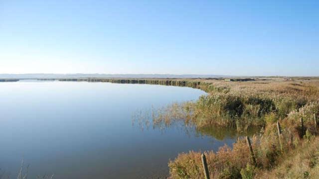 Tiny Bikini, Ault, Baie De Somme, 200 M De La Mer Exteriör bild